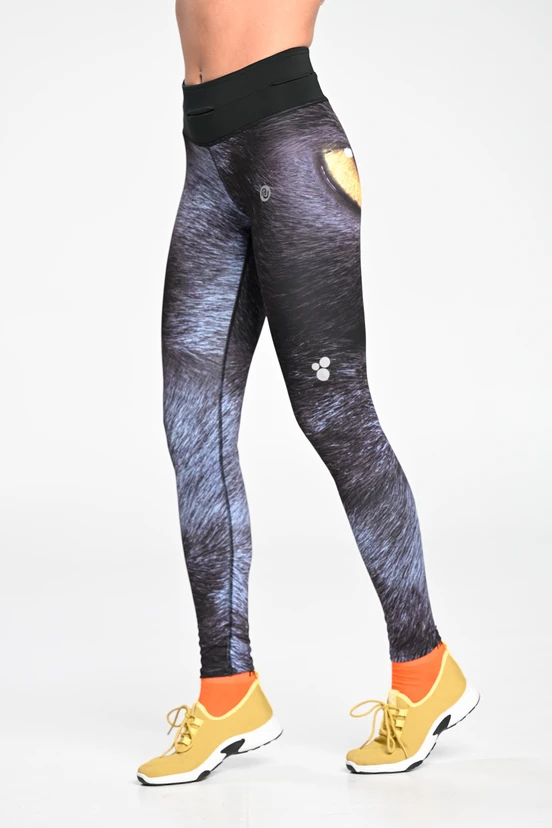 Legginsy z Pasem Wielofunkcyjnym Black Cat - OSLP-124 - packshot